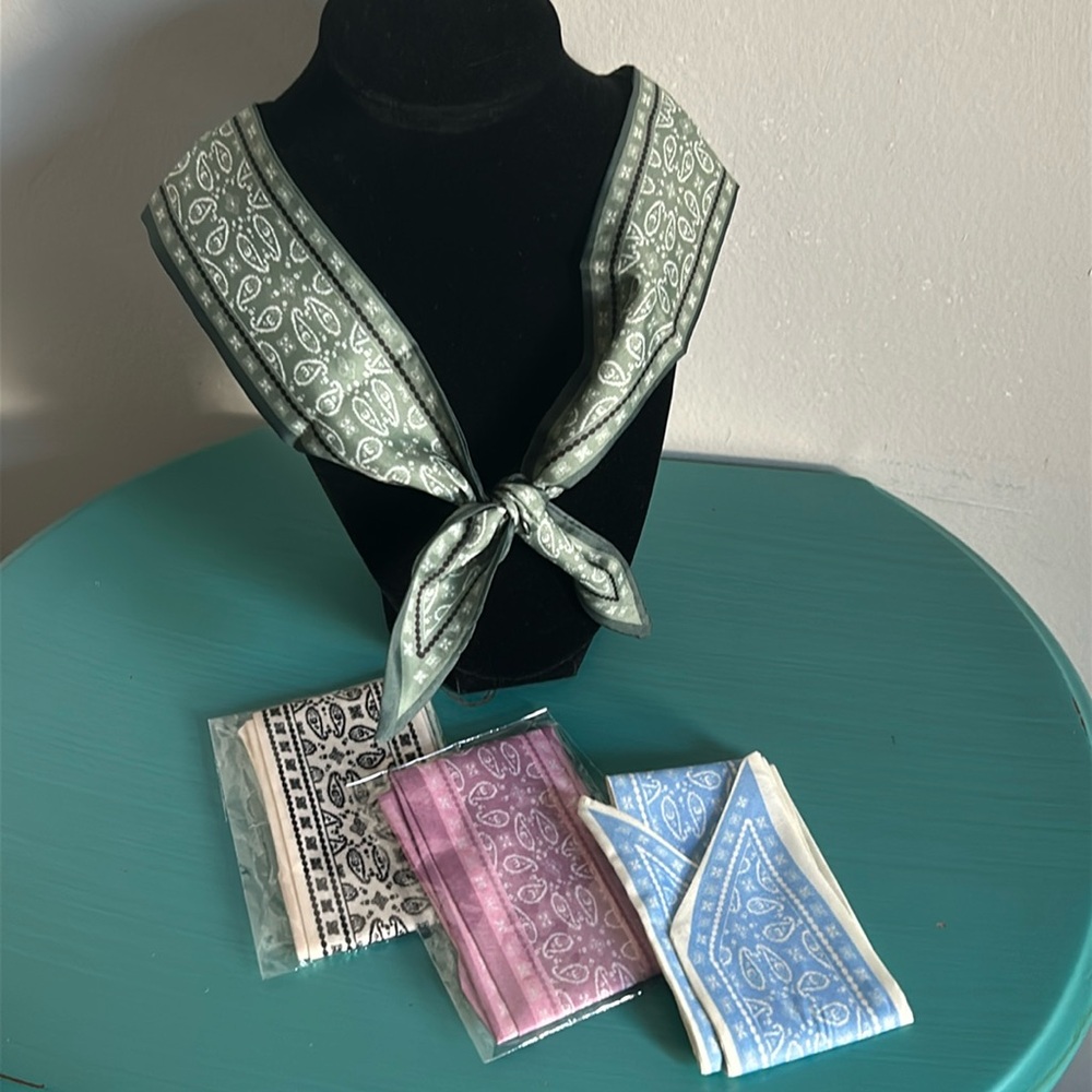 New 4 Piece Set Paisley Print Skinny Scarf Headband Hat Purse Bob Accessory